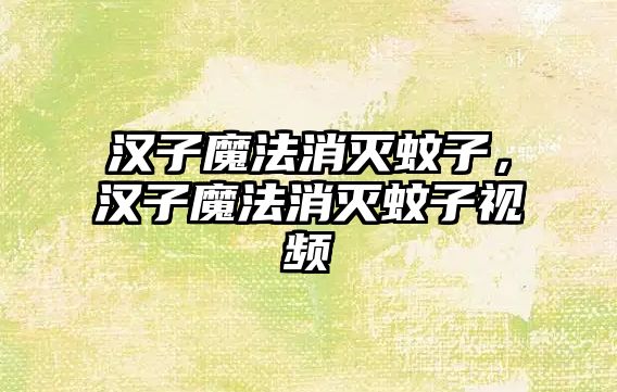 漢子魔法消滅蚊子，漢子魔法消滅蚊子視頻
